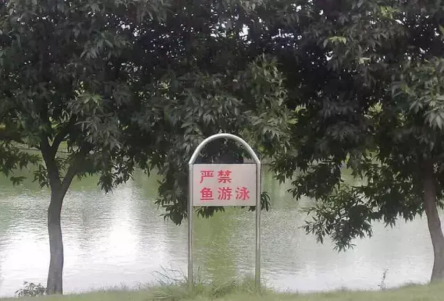 這一些沙雕標牌廣告標語(yǔ)，讓我站路邊笑了半天停不下來(lái)23