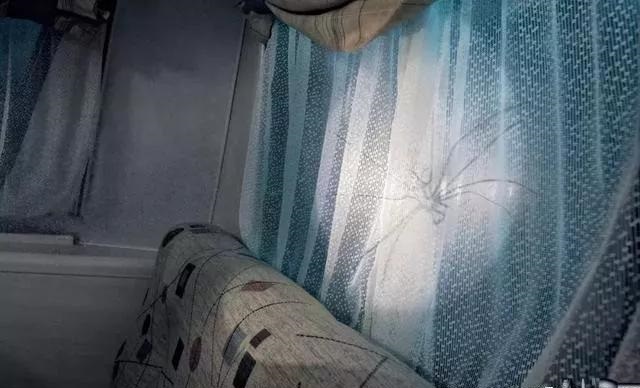 最果的戶(hù)外廣告！創(chuàng  )意是靈魂35