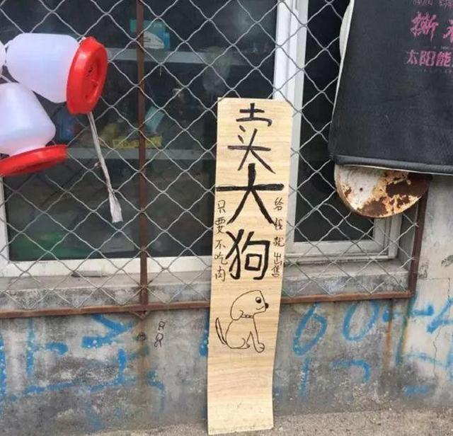 中國街道廣告牌燈箱有多野？看看這些讓人笑掉大牙的牌子名20