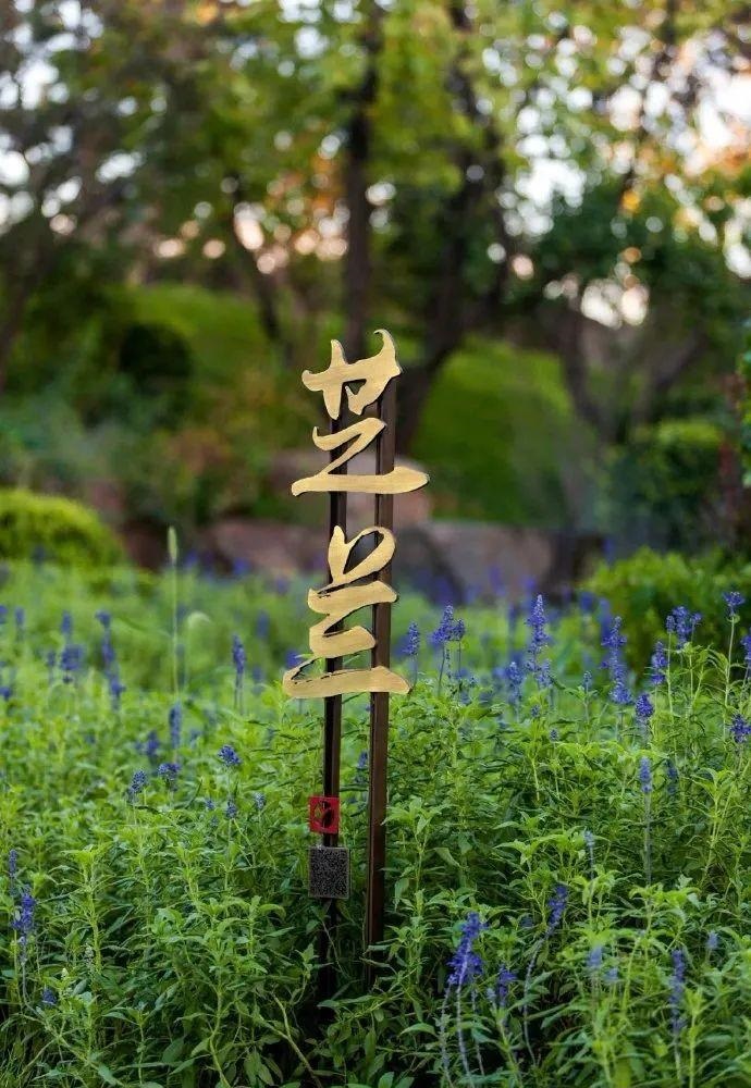 中國風(fēng)LOGO標牌案例分享，美15